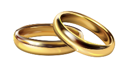 Wedding Rings